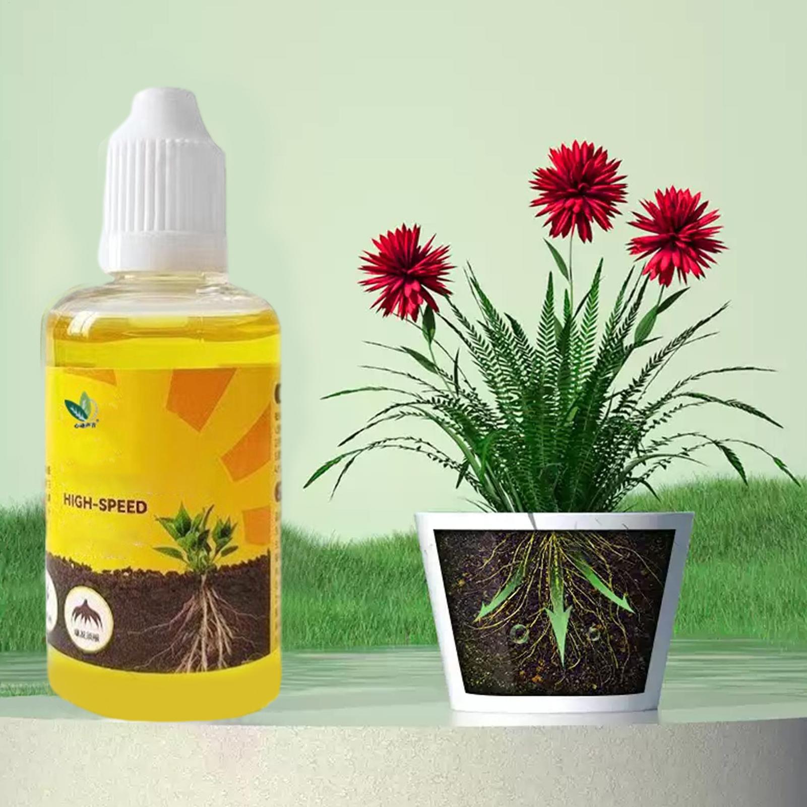 Estimulador de Enraizamento de - Root Stimulator Liquid avaliação e preço