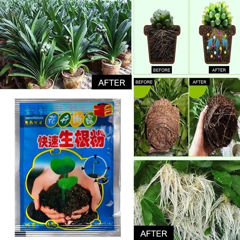 5 pçs pó de enraizamento rápid - Root Stimulator Liquid avaliação e preço